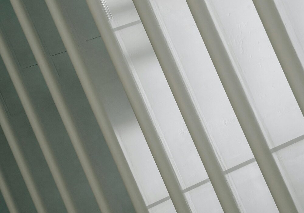 The delicacy of the Grey Colour