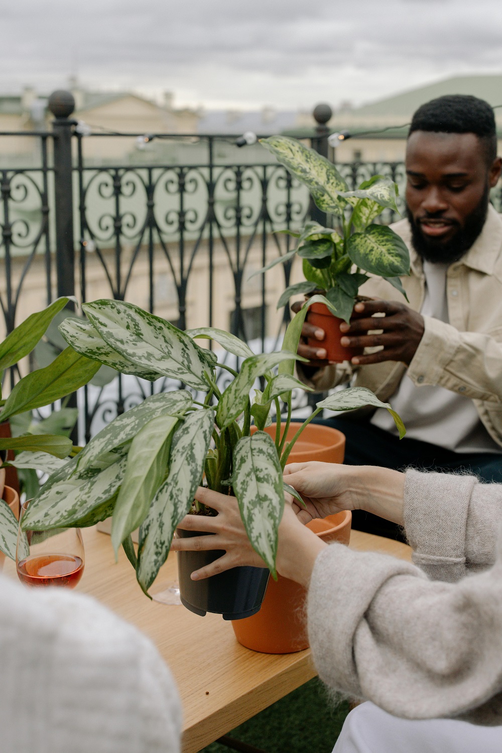 Planting in Balcony
