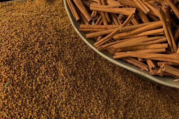 Fenugreek: An Ancient Herb for Modern Health Fenugreek: An Ancient Herb for Modern Health
