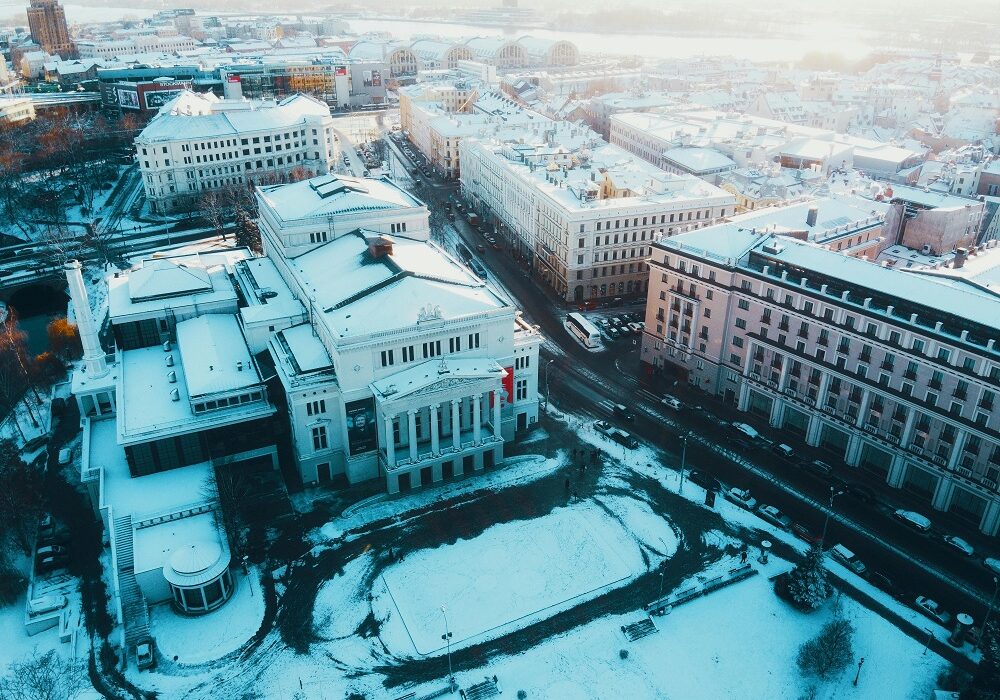 Easy Winter Floriculture For Urban Rooftops
